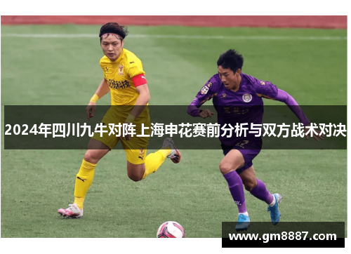 2024年四川九牛对阵上海申花赛前分析与双方战术对决
