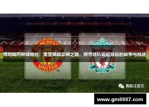 博明翰阿斯顿维拉：重塑英超荣耀之路，探寻球队崛起背后的故事与挑战